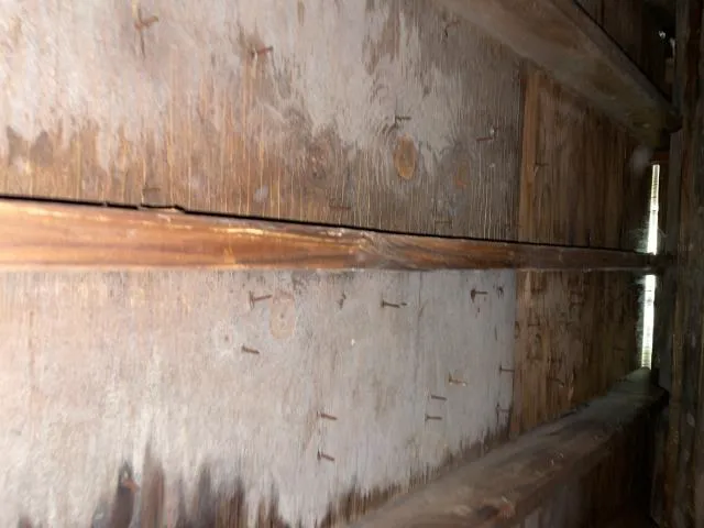 The Great American Roofing Company Picture 10