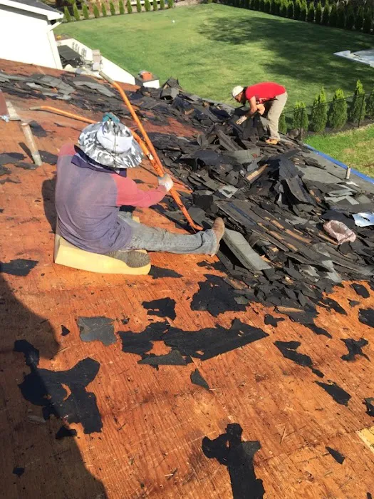 Green Apple Roofing Picture 1