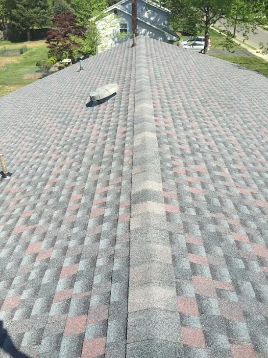 Green Apple Roofing Picture 3