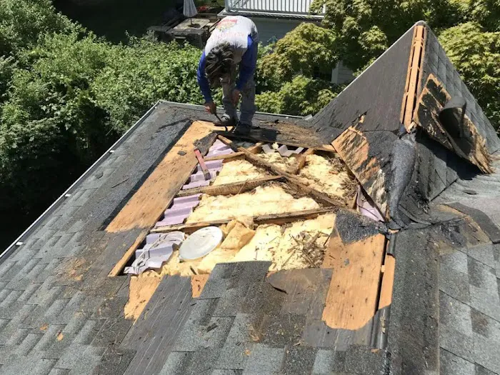 Finch Roofing Picture 5