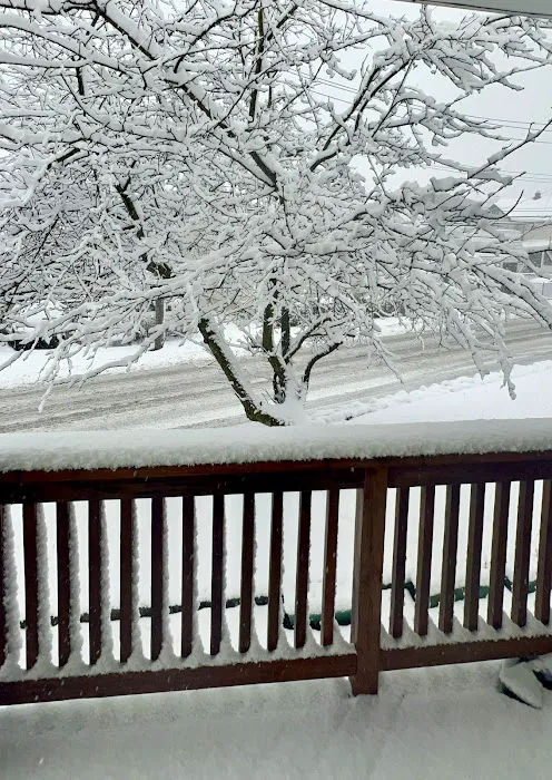 Port Chester Roofing Company Picture 1