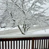 Port Chester Roofing Company ico