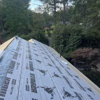 PRO LEGACY CORP -Roofing Contractor ico