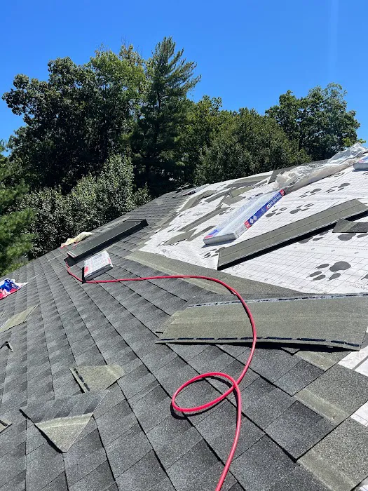 RDC PRO EXTERIORS Picture 1