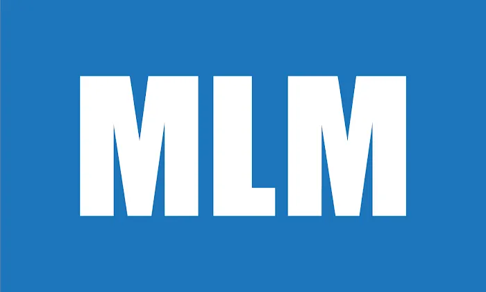 MLM Home Improvement Picture 6