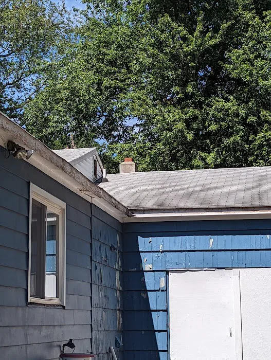 Roof Maintenance Systems Picture 1