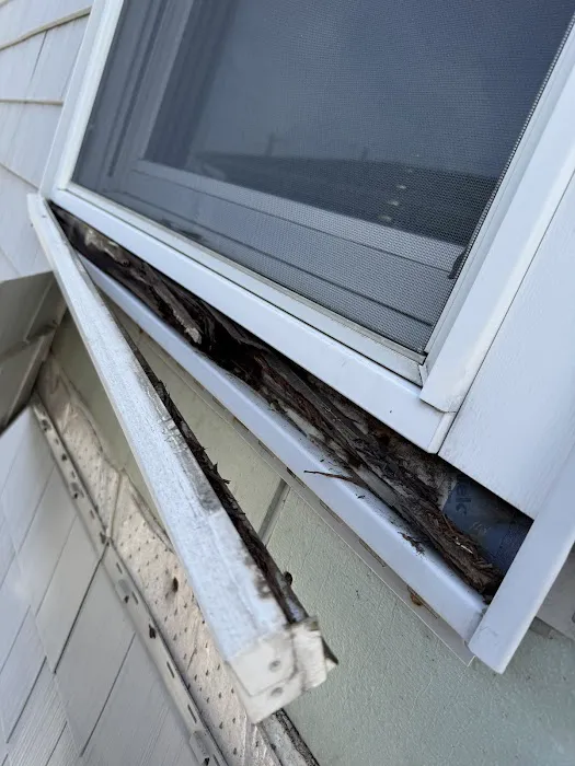 Buzzworthy Roofing & Siding Picture 1
