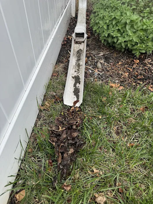 Buzzworthy Roofing & Siding Picture 9