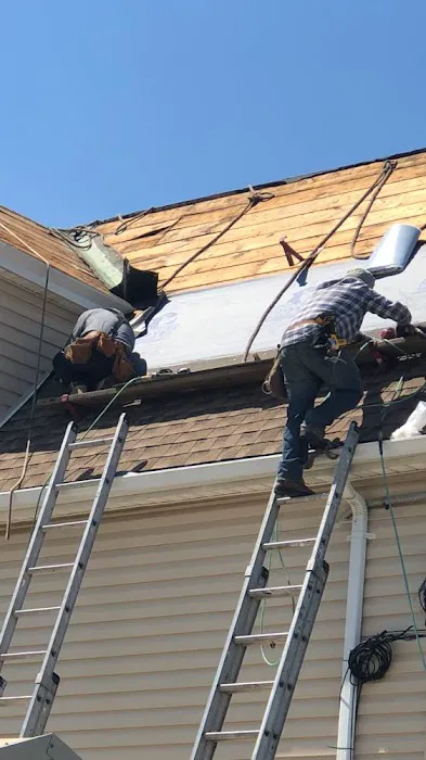 ROOF SIDING Picture 3