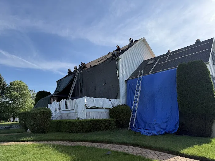 Joe The Roofer Picture 7