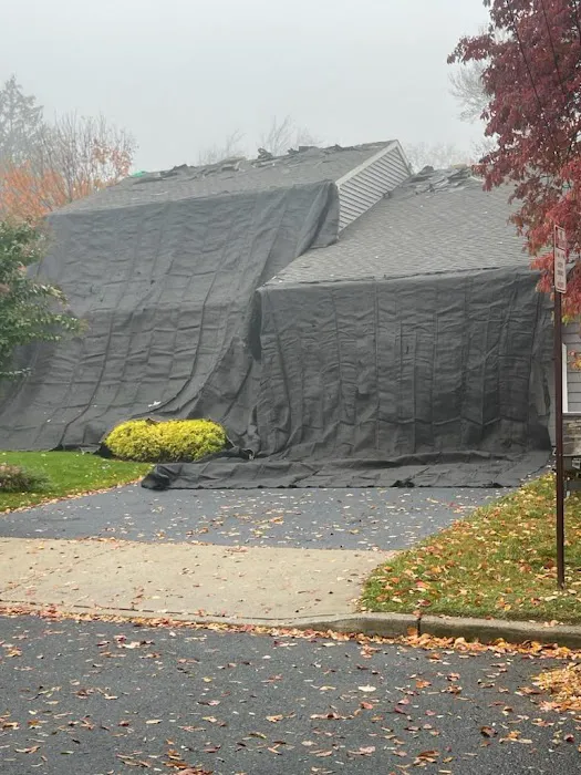 Green Apple Roofing Picture 6
