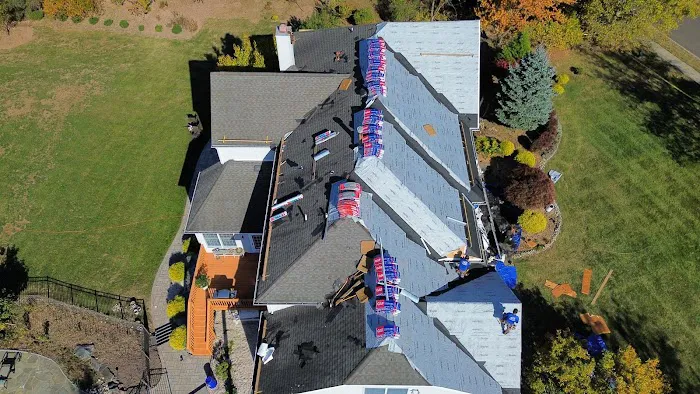 Skylight Roofing & Restoration Picture 4