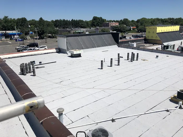 Roof Pro Picture 8
