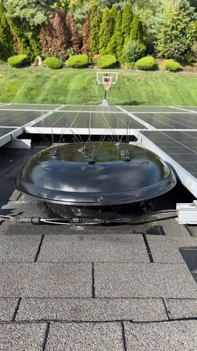 Long Island Roof Repair Picture 4