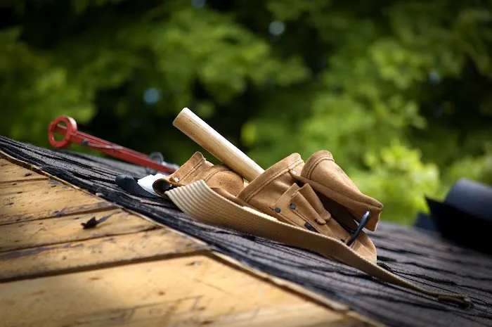 Woof Roofing Picture 2