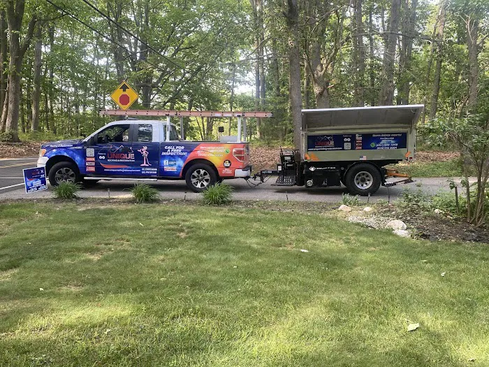 Unique Roofing & Restoration Picture 2