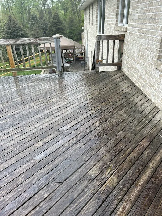Padovani Roofing , Roof Cleaning & Construction Picture 3