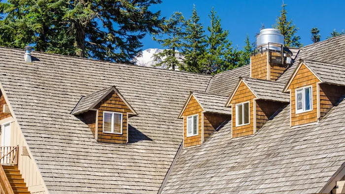 DeVito Roofing Picture 3