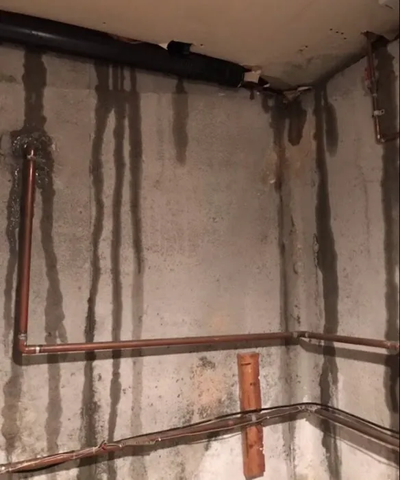 Hayes & Sons Roof Repair Picture 1