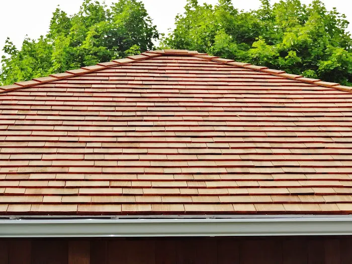 Tony the Roofer Picture 7