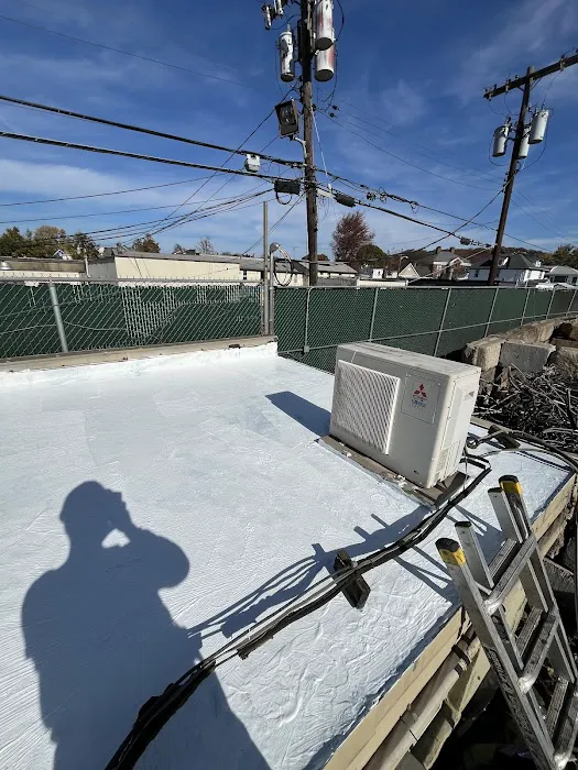 Boundless Roofing Picture 6
