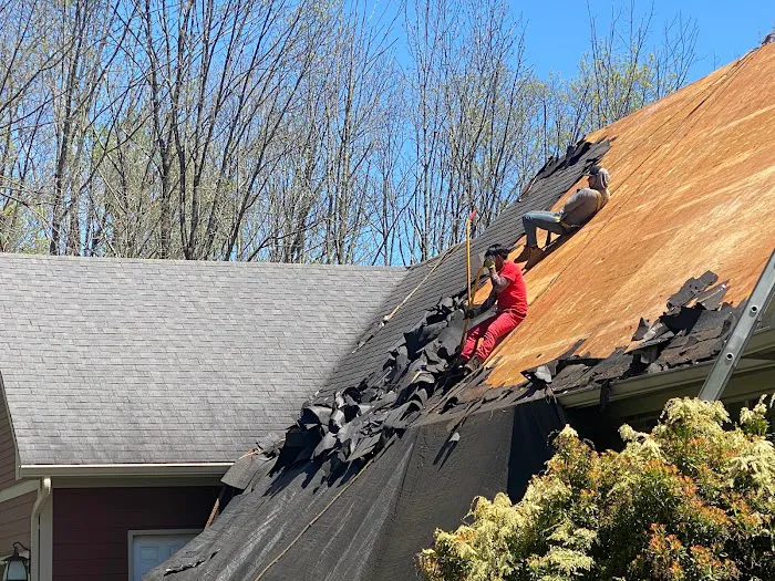 Panther Contracting LLC Hunterdon County Picture 2
