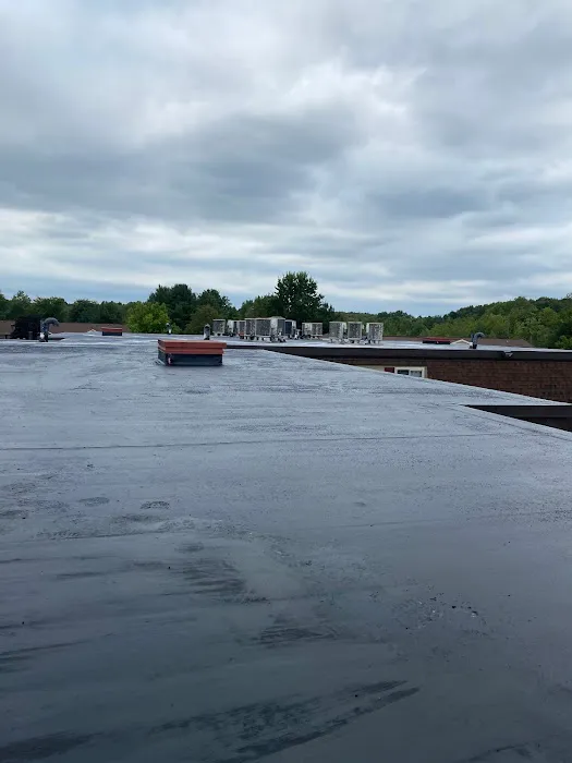 Niche Roofing & Waterproofing Picture 2