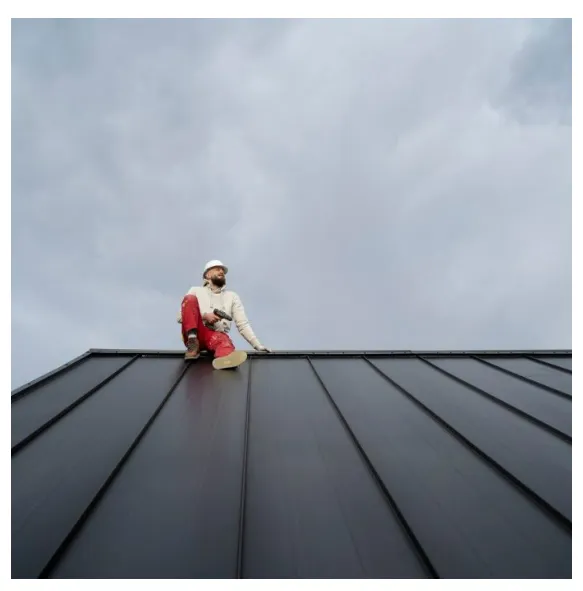 Hayes & Sons Roof Repair Picture 1