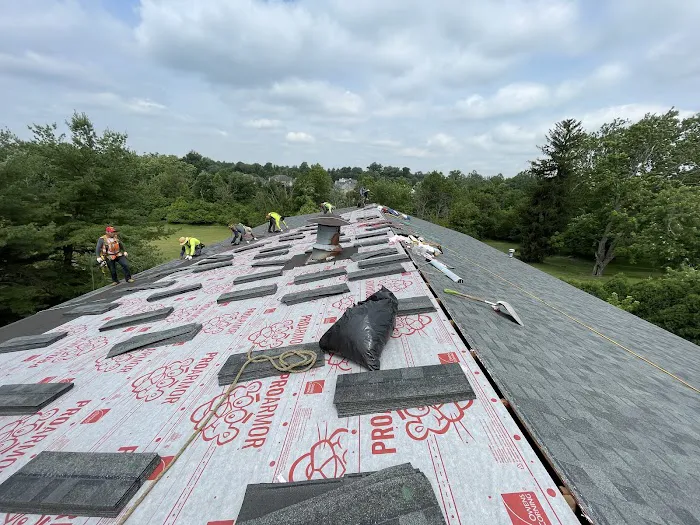 All Site Roofing Picture 1