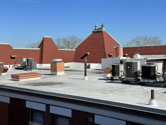 All Site Roofing Picture 6