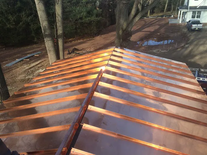 LGC Roofing Picture 4
