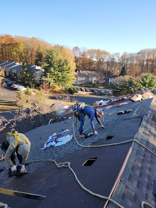 Fox Chase Contracting Picture 5