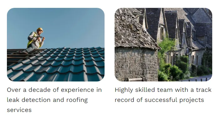 Martin & Sons Roofing Picture 1