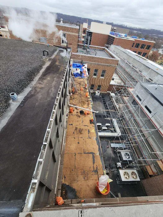 Alpine Roofing Picture 5