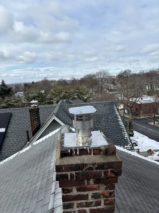 Asset Roof Repair and Replacement Picture 2