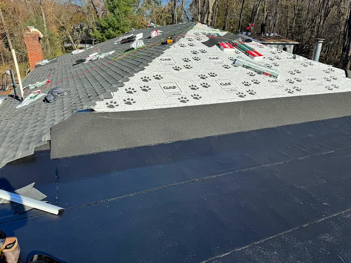 Extera Roofing Picture 9