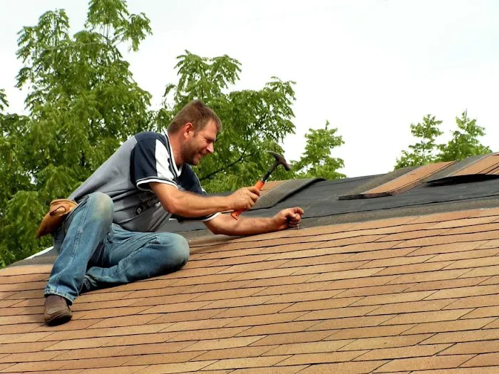 Elder Roofers Picture 6
