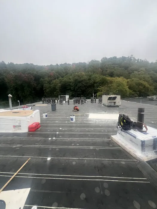 Clearview Roofing & Construction Babylon Picture 5