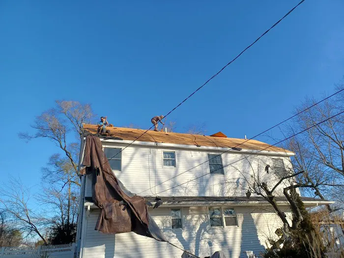 HOGAN ROOF Picture 2