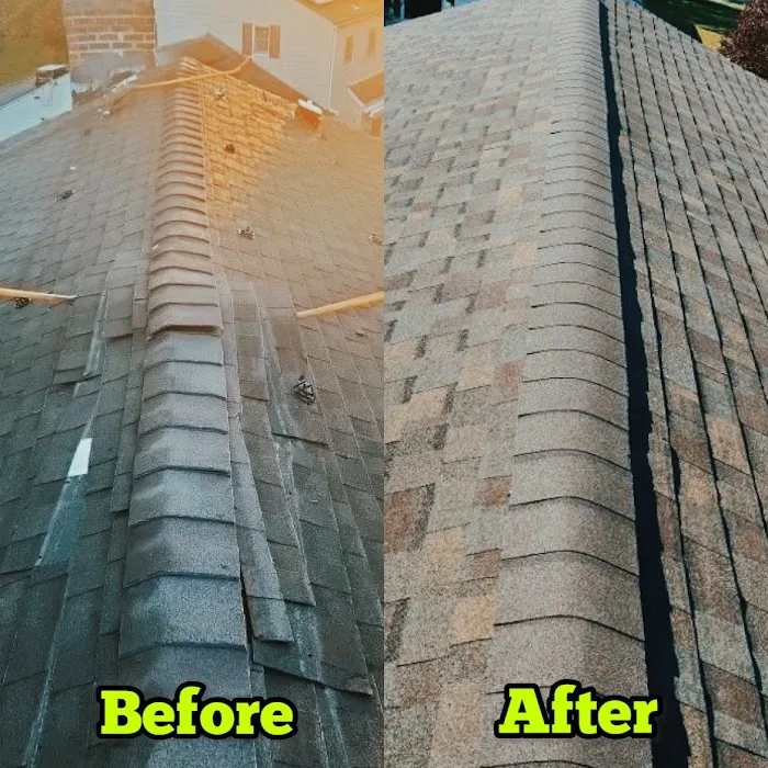 HOGAN ROOF Picture 10