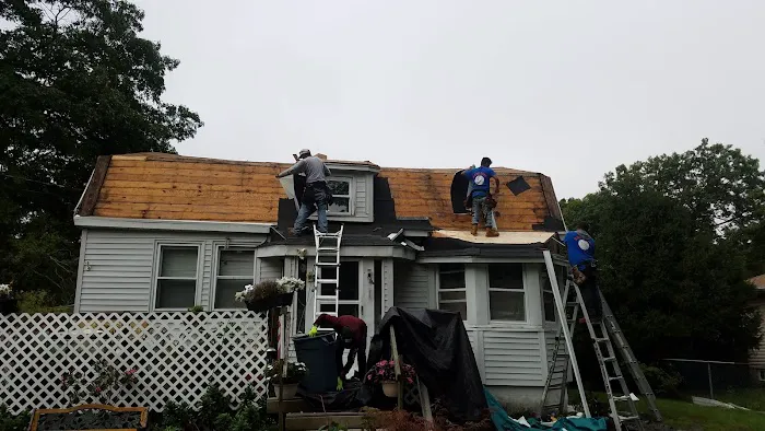 Babe Roof Picture 5