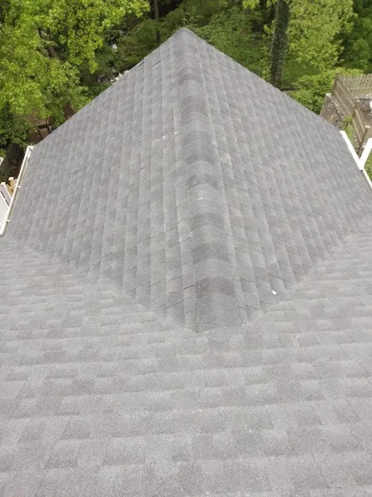 Black Fox Roofing Picture 3