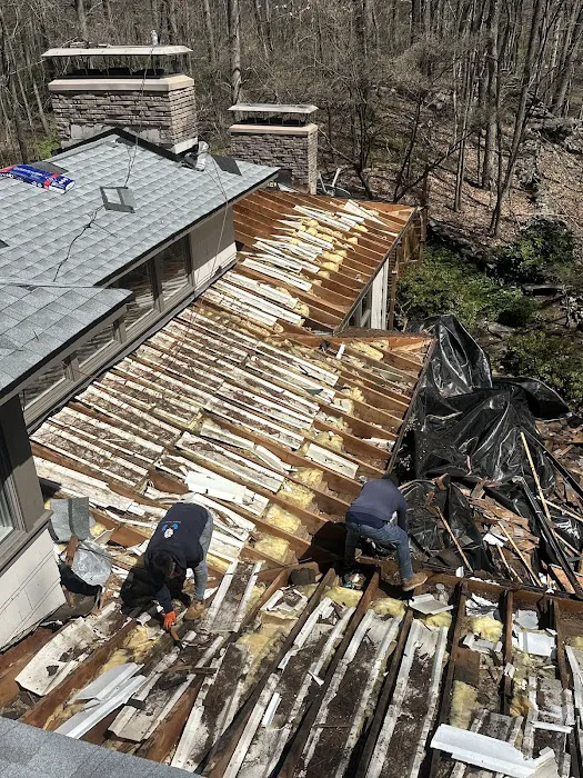 Black Fox Roofing Picture 7