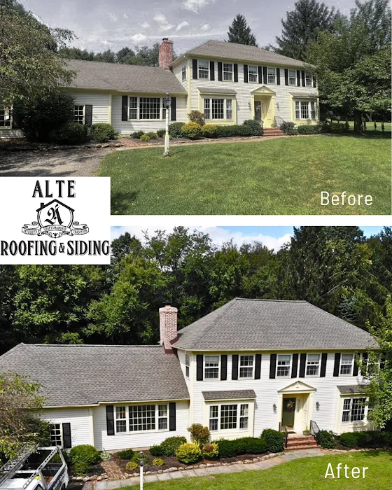 Alte Roofing Picture 10