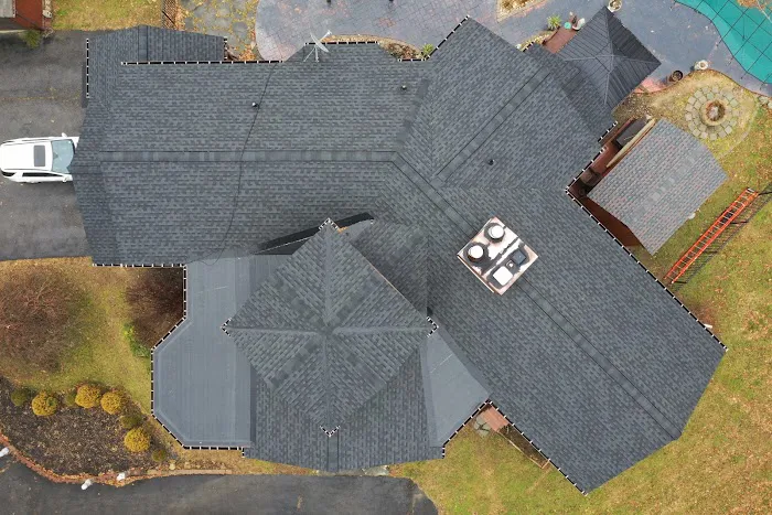 Alte Roofing Picture 8