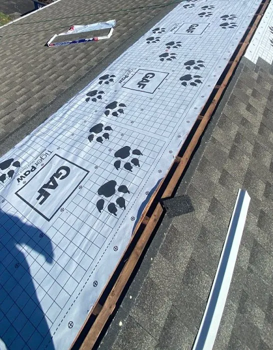 Roof Plus Picture 3