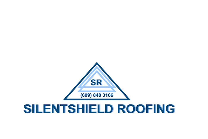 SilentShield Roofing Picture 1