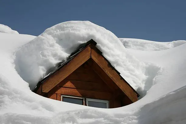 Local Roofing Contractor Pros Picture 5