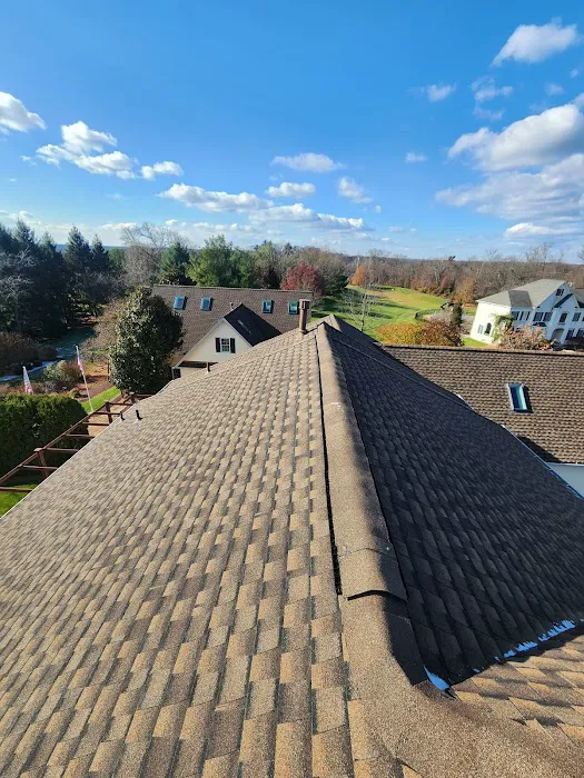 Denis Contractors Roofing Picture 2