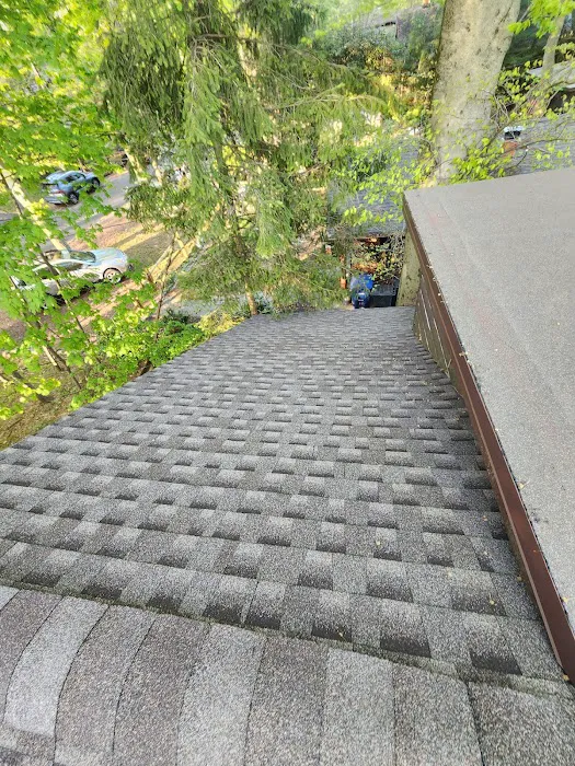 Denis Contractors Roofing Picture 7